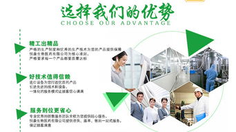 牡蠣杞草片劑OEM加工 聚焦山東市場(chǎng)，賦能企業(yè)網(wǎng)絡(luò)技術(shù)服務(wù)